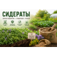 Сидераты Сидераты