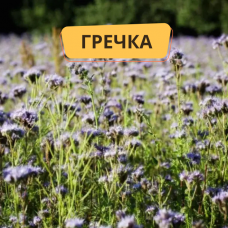 Гречка, сидерат, 1кг