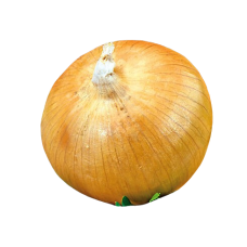 Лук тыканка Сеншуй Broer (Голландия), 1 кг