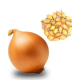 Лук на посадку