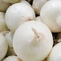 Лук севок Сноуболл (Broer, Голландия), 1кг