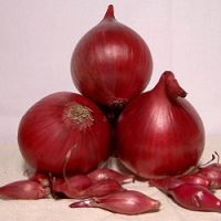 Лук севок Ред Барон (Broer, Голландия), 1кг