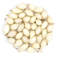 Лук севок Сноуболл (Broer, Голландия), 1кг